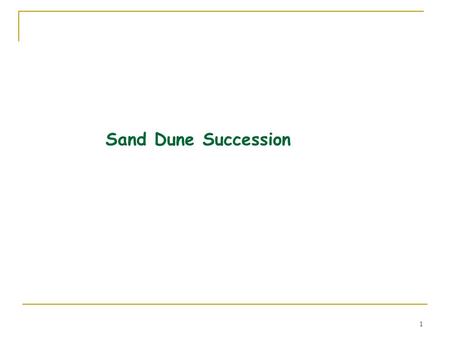 1 Sand Dune Succession. 2 Sand dunes are divided into different ecological zones Beaches Foredunes Interdunal wetlands or toughs Back Dunes or Dune Forests.