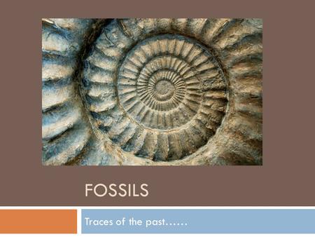 Fossils Traces of the past…….