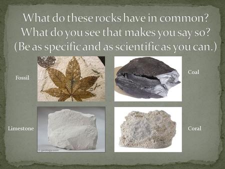 What do these rocks have in common
