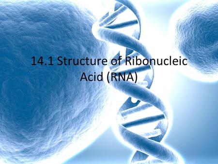 14.1 Structure of Ribonucleic Acid (RNA). 14.1 Structure of ribonucleic acid Learning Objectives Compare and contrast the structure of DNA and RNA molecules.