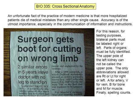 BIO 335: Cross Sectional Anatomy