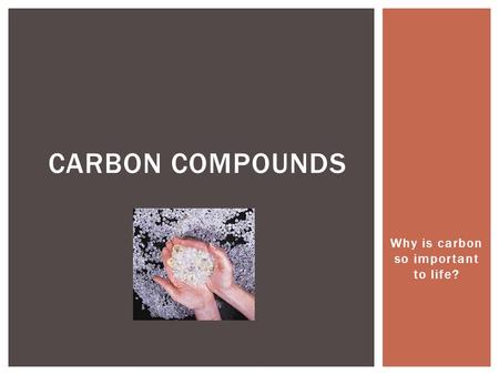 Why is carbon so important to life?