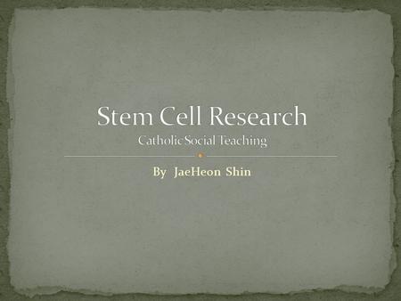 By JaeHeon Shin. Stem Cell - Stem cells are mother cells that have the potential to become any type of cell in the body. One of the main characteristics.