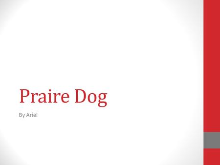 Praire Dog By Ariel. Physical Characteristics The Prairie Dog can be about 12-15 inches tall (including a 2-3 inch tail). The Prairie Dog can weigh 1-3.