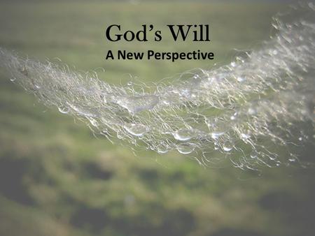 God’s Will A New Perspective. The Traditional View Premise: For each of our decisions, God has an ideal plan that He will make known to the attentive.