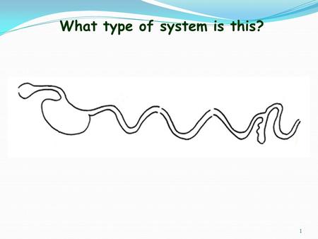 1 What type of system is this? Created by: Arlene Barrett, Dennis Bratton, Mariah Gumphry, Haley Vrazel 2.