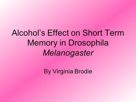 Alcohol’s Effect on Short Term Memory in Drosophila Melanogaster