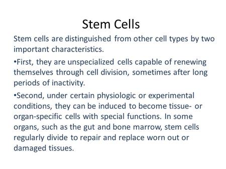 Stem Cells Stem cells are distinguished from other cell types by two important characteristics. First, they are unspecialized cells capable of renewing.