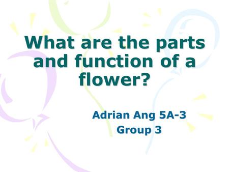 What are the parts and function of a flower?