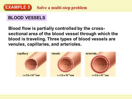EXAMPLE 5 Solve a multi-step problem BLOOD VESSELS