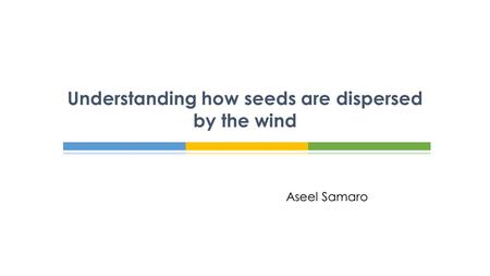 Understanding how seeds are dispersed by the wind