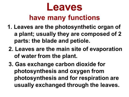 Leaves have many functions 1. Leaves are the photosynthetic organ of a plant; usually they are composed of 2 parts: the blade and petiole. 2. Leaves are.