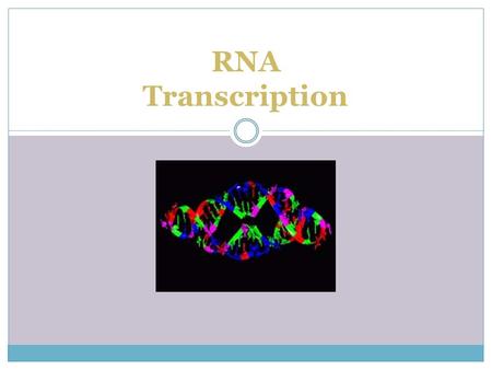 RNA Transcription.