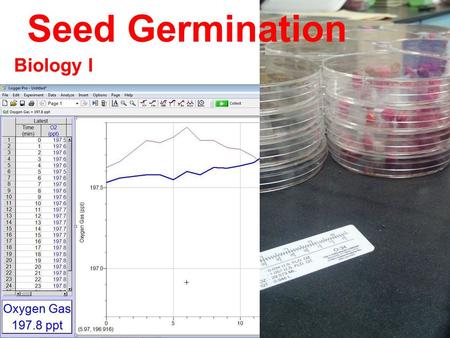 Seed Germination Biology I. The Scenario You will be given a dish with 10 seeds. Your job is to answer the following question: What is the percent Germination.