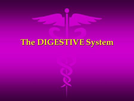 The DIGESTIVE System.