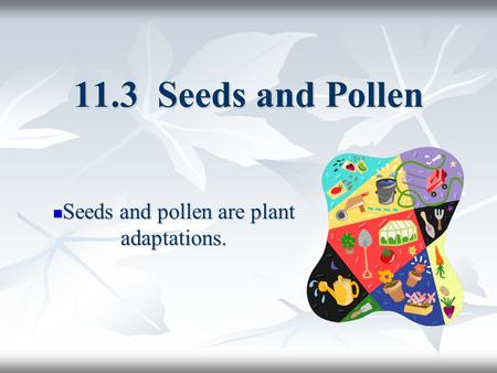 Seeds and pollen are plant adaptations.