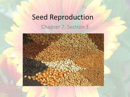 Seed Reproduction Chapter 7: Section 3.
