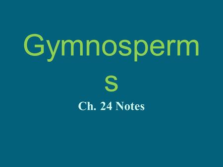 Gymnosperm s Ch. 24 Notes. Seed Plants Reproduce by seeds Seeds develop from fertilized egg cell 2 Groups of Seed Plants: –Gymnosperms –Angiosperms.