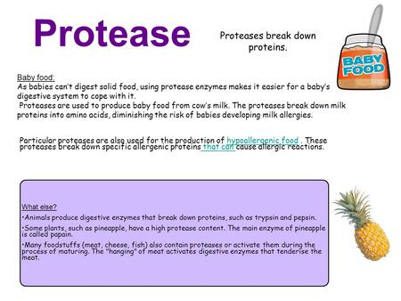 Proteases break down proteins.