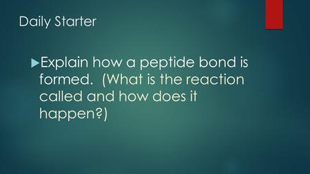 Daily Starter  Explain how a peptide bond is formed. (What is the reaction called and how does it happen?)