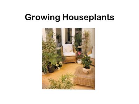 Growing Houseplants. Why grow houseplants? To enhance room decor –Fill in gaps –Brighten an area (empty wall space, unused fireplace, stairwell, corner)