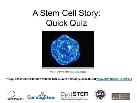 A Stem Cell Story: Quick Quiz