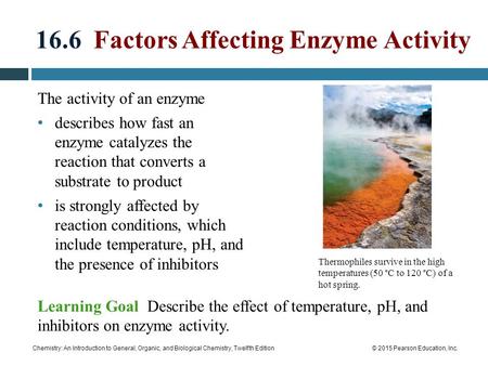 16.6 Factors Affecting Enzyme Activity