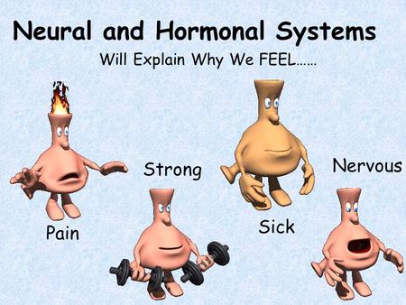 Neural and Hormonal Systems Will Explain Why We FEEL…… Pain Strong Sick Nervous.