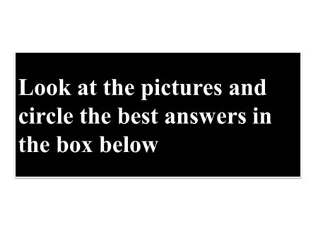 Look at the pictures and circle the best answers in the box below Look at the pictures and circle the best answers in the box below.
