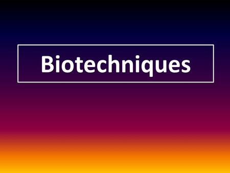 Biotechniques.