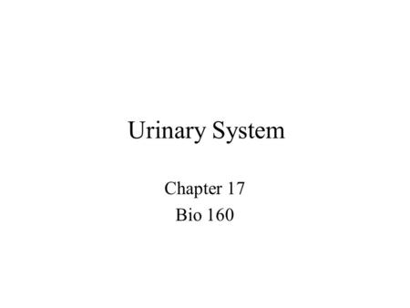 Urinary System Chapter 17 Bio 160.