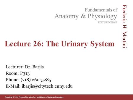 Lecture 26: The Urinary System