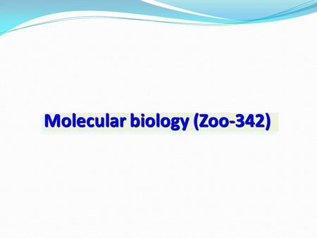 Molecular biology (Zoo-342)