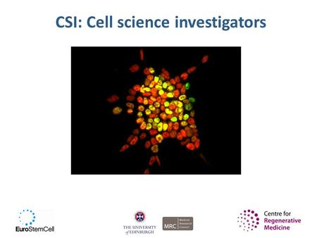 CSI: Cell science investigators. By the end of this lesson, you should…  Know how stem cell research is useful for medicine  Know about a disease that.