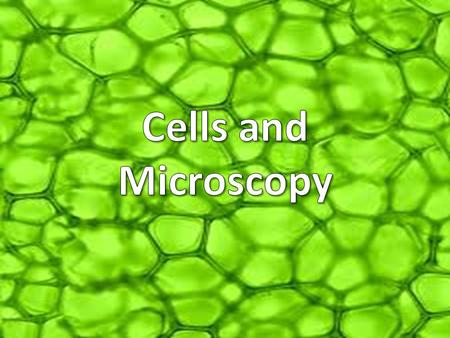 History of Cell Theory Why Cells? Limits of Light Eye Piece MagObjective Mag 10x4x 10x 40x 100x (oil emmersion)