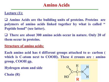 Amino Acids R Lecture (1):