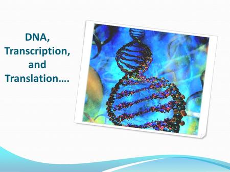 DNA, Transcription, and Translation…. Why Should We Learn About DNA? To understand how genes are inherited and expressed. To understand the evolution.