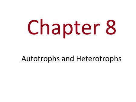 Chapter 8 Autotrophs and Heterotrophs Ps. Overview: The Process That Feeds the Biosphere Photosynthesis is the process that converts solar energy into.