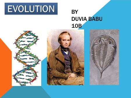 Evolution By duvia babu 10B.