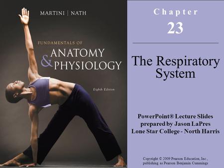 23 The Respiratory System C h a p t e r