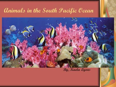 Animals in the South Pacific Ocean