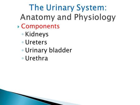 The Urinary System: Anatomy and Physiology