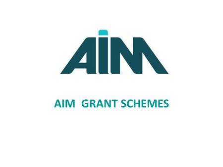AIM GRANT SCHEMES. WHAT WE DO Networking and Sharing News and Information Representing Advice and Support.