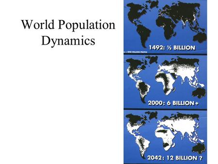 World Population Dynamics