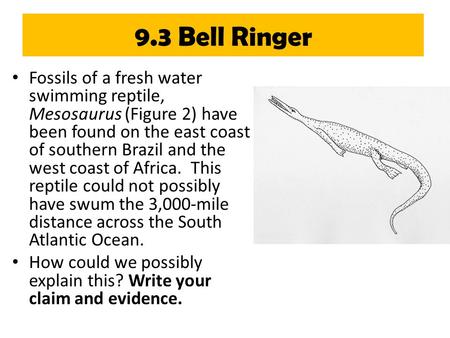 9.3 Bell Ringer Fossils of a fresh water swimming reptile, Mesosaurus (Figure 2) have been found on the east coast of southern Brazil and the west coast.