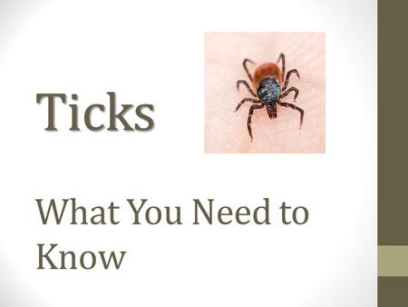 Ticks What You Need to Know