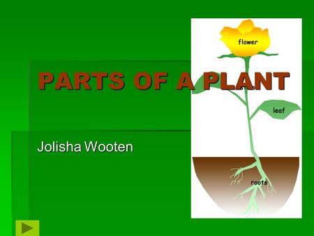 PARTS OF A PLANT Jolisha Wooten.