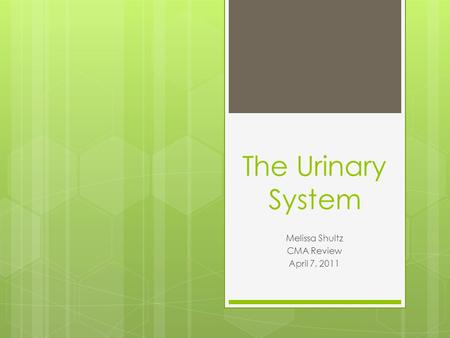 The Urinary System Melissa Shultz CMA Review April 7, 2011.