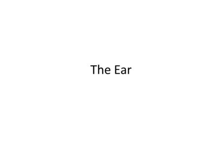 The Ear.