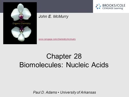 John E. McMurry www.cengage.com/chemistry/mcmurry Paul D. Adams University of Arkansas Chapter 28 Biomolecules: Nucleic Acids.